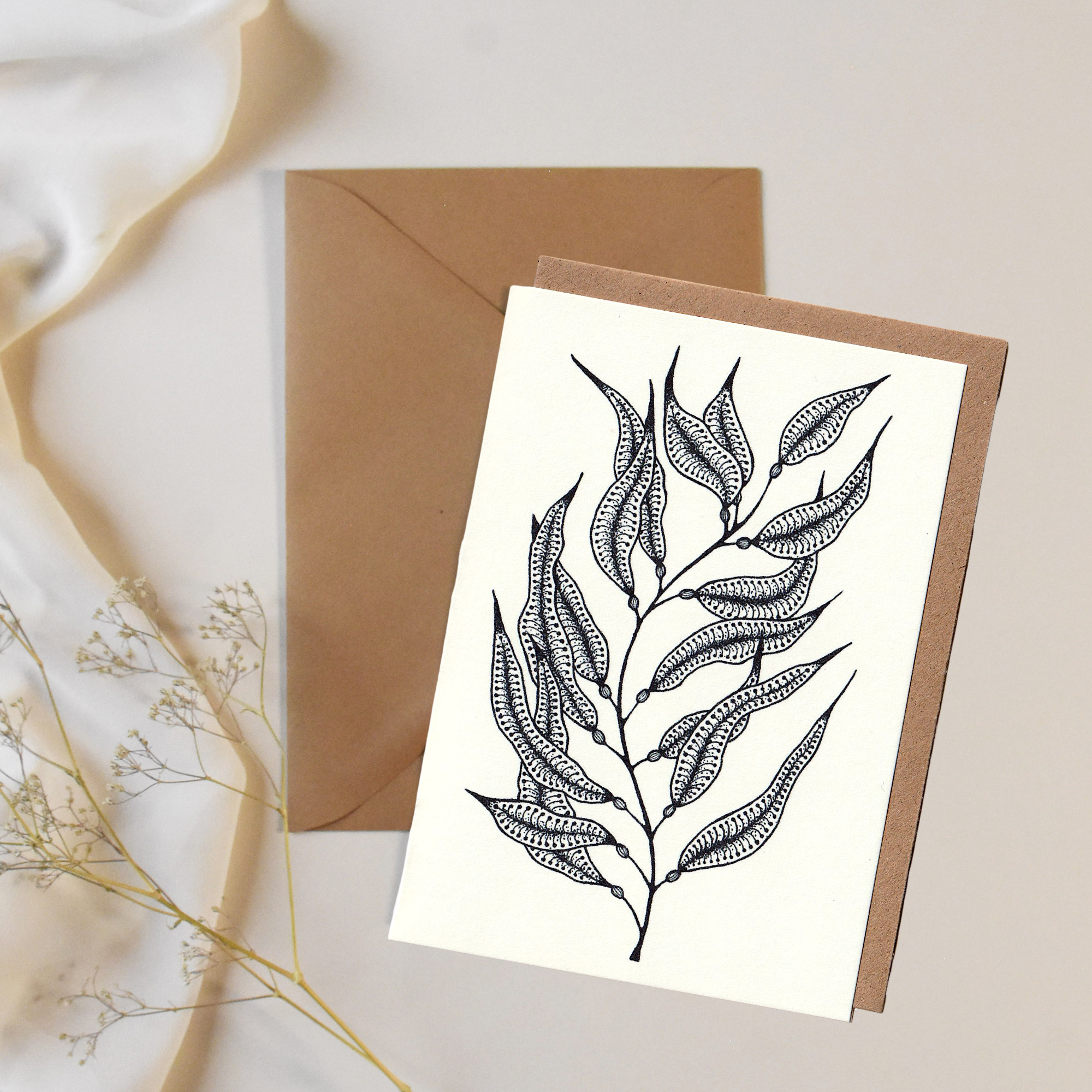 Algae Card
