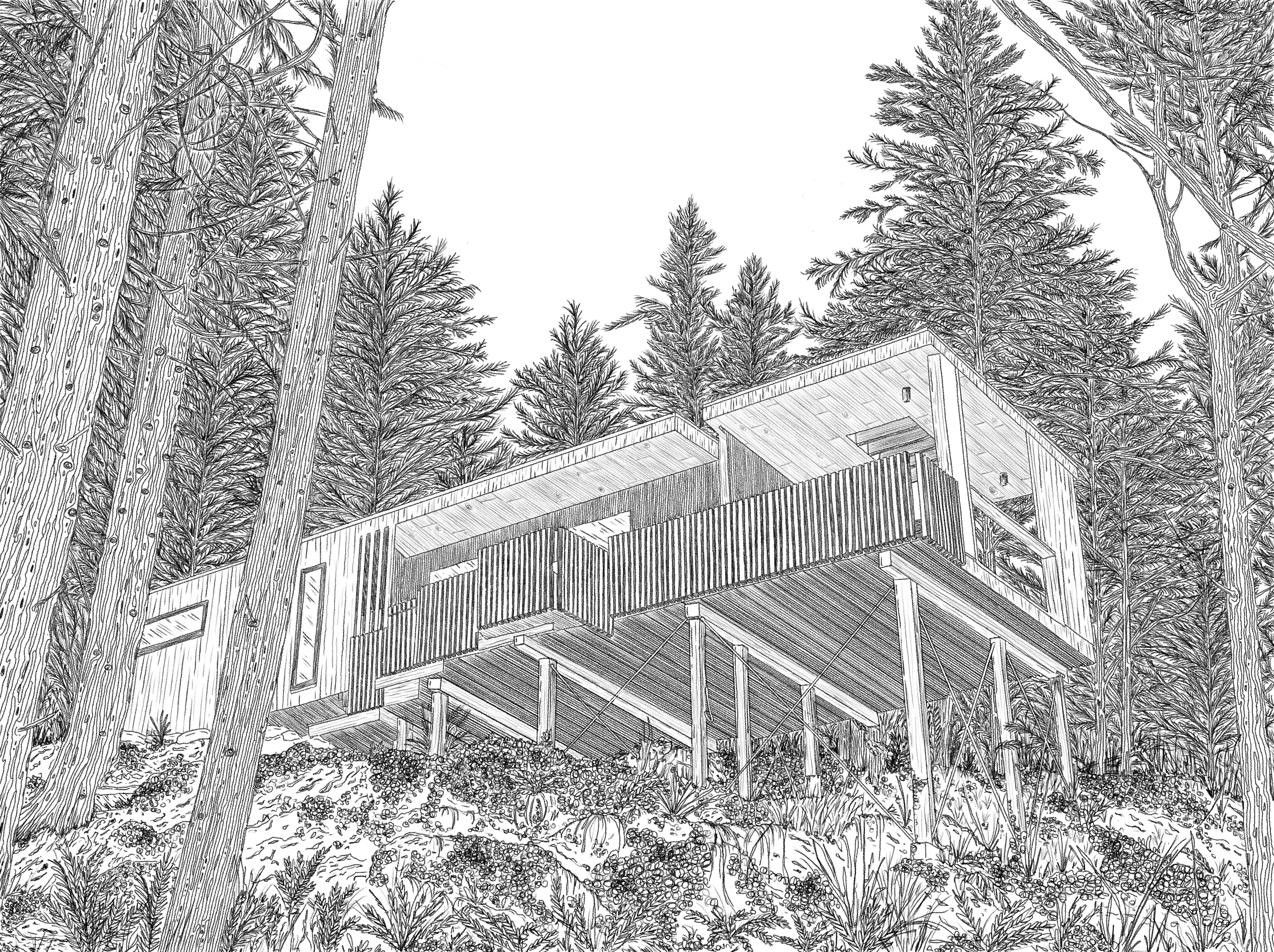 Custom Cabin Sketches