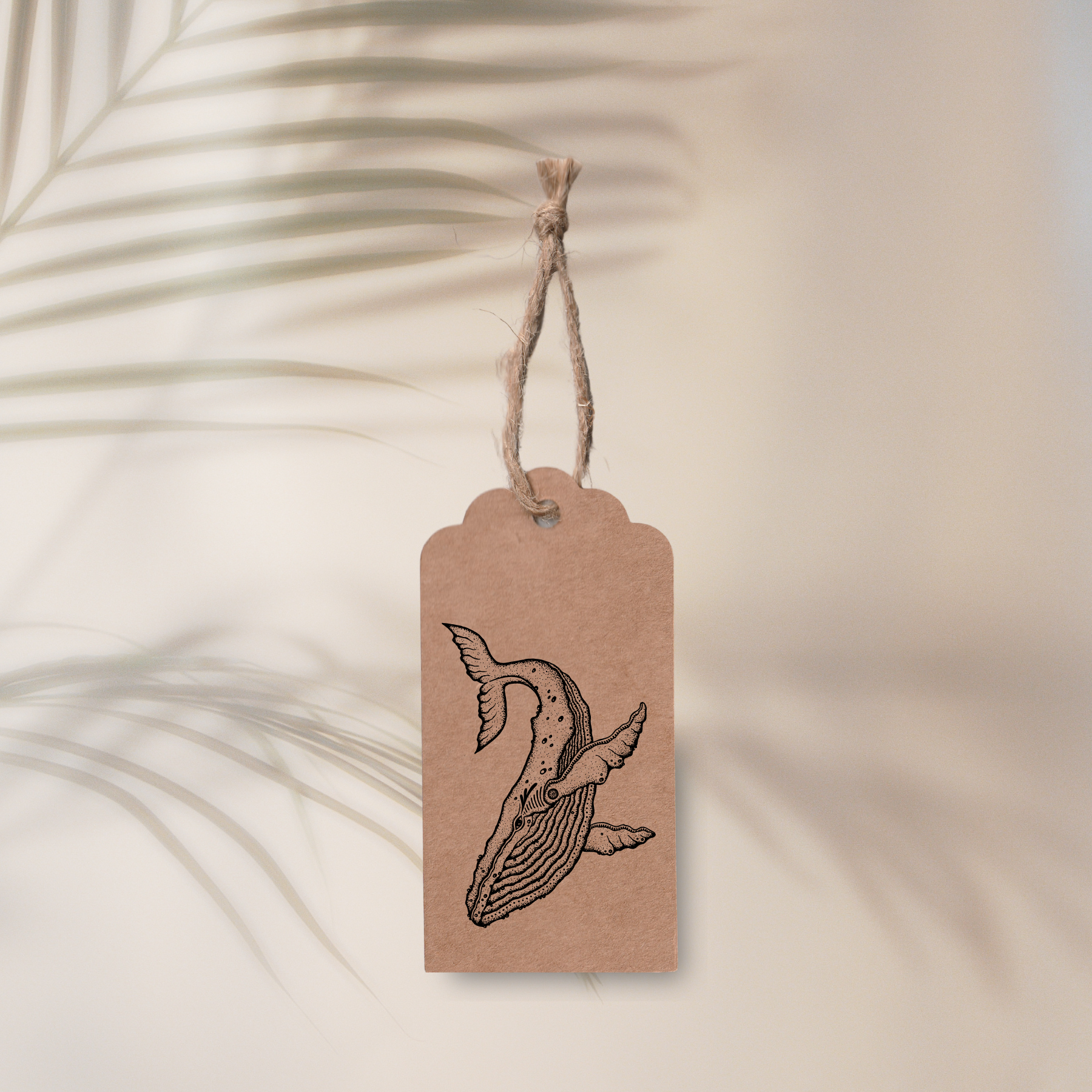 Humpback Whale Tag